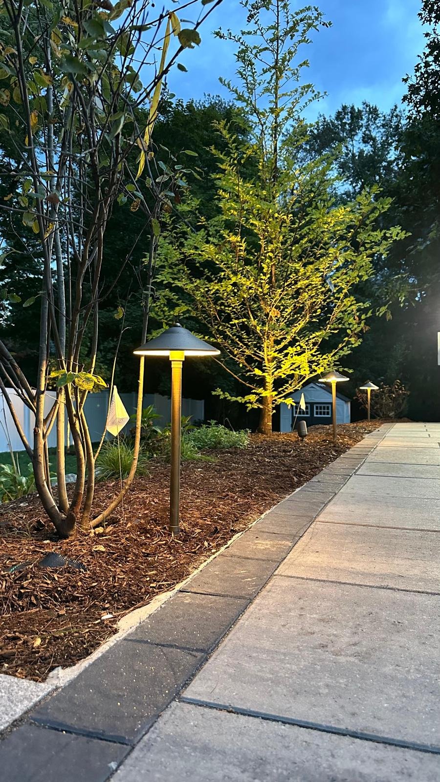 Landscape lighting project 8